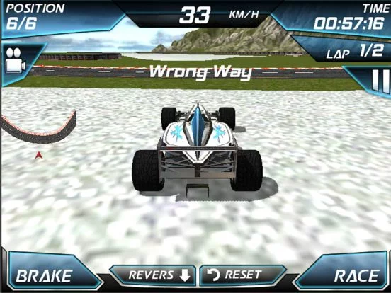 Изображение игры: Real 3D Formula Racing