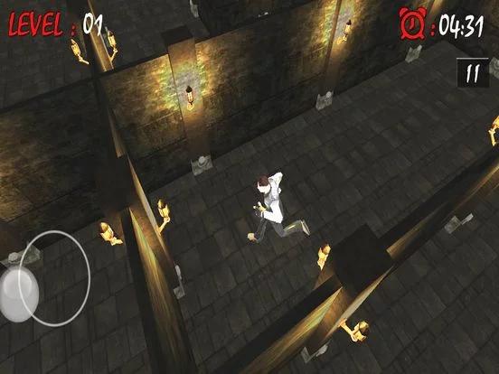Изображение игры: Maze Runner Brain Puzzle
