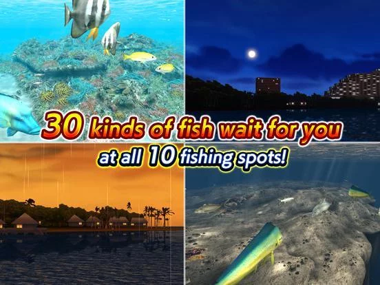 Изображение игры: Excite BigFishing lll