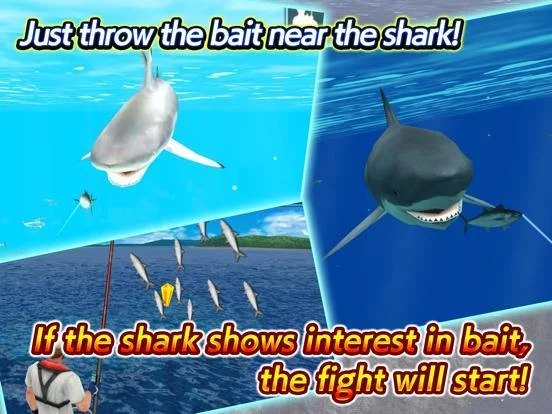 Изображение игры: Wild Shark Fishing