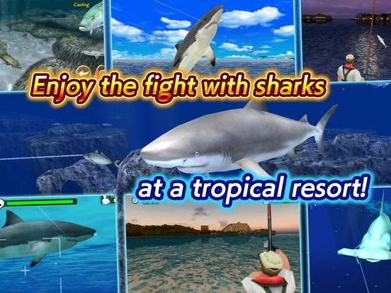Изображение игры: Wild Shark Fishing