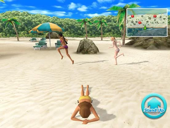 Изображение игры: Beach Flag Paradise