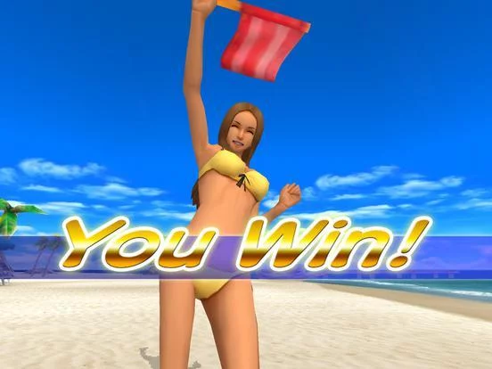 Изображение игры: Beach Flag Paradise