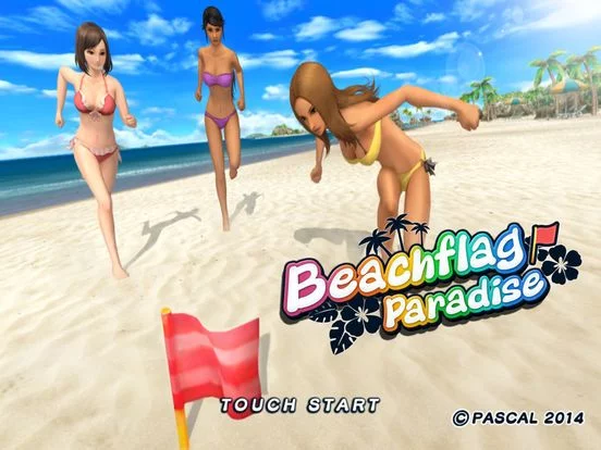 Изображение игры: Beach Flag Paradise