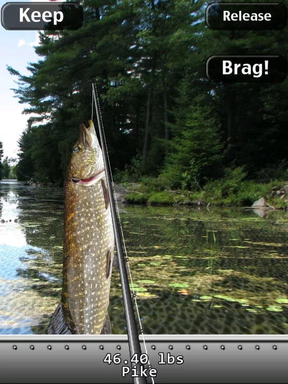 Изображение игры: i Fishing HD