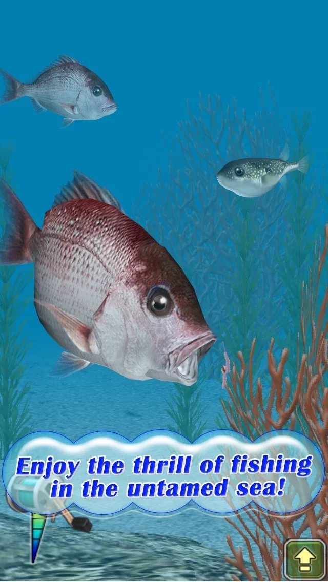 Изображение игры: Reel Fishing Pocket 2: Ocean