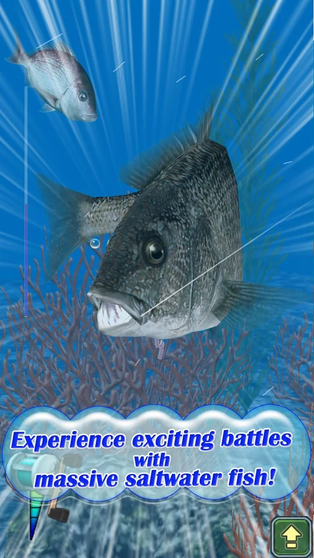 Изображение игры: Reel Fishing Pocket 2: Ocean