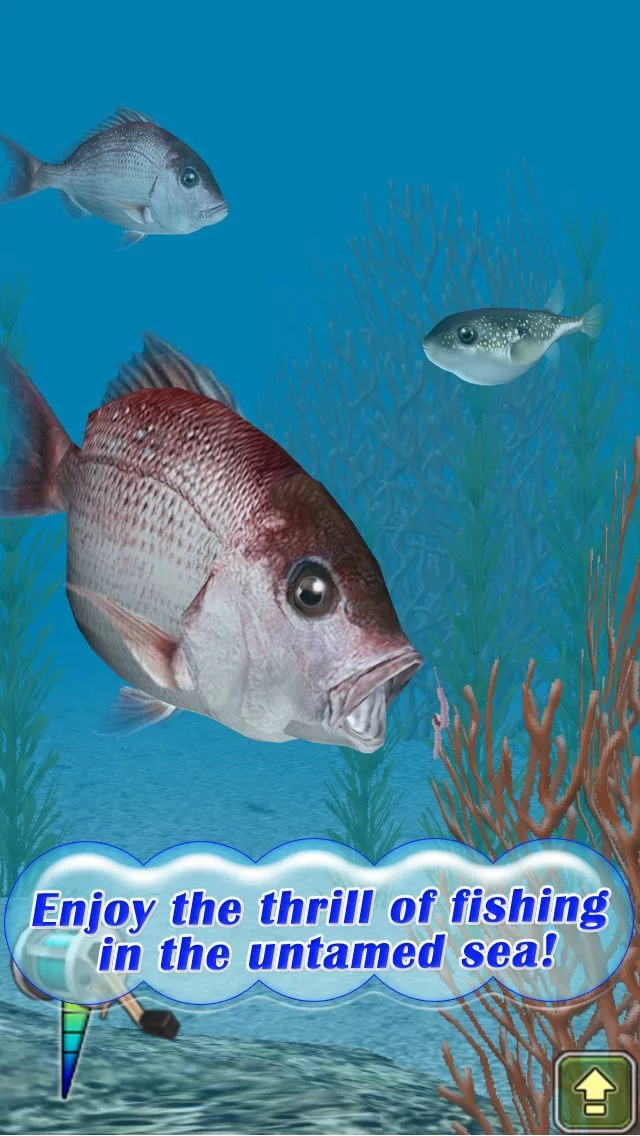 Изображение игры: Reel Fishing Pocket 2: Ocean