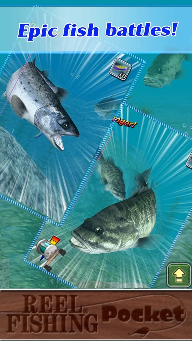 Изображение игры: Reel Fishing Pocket