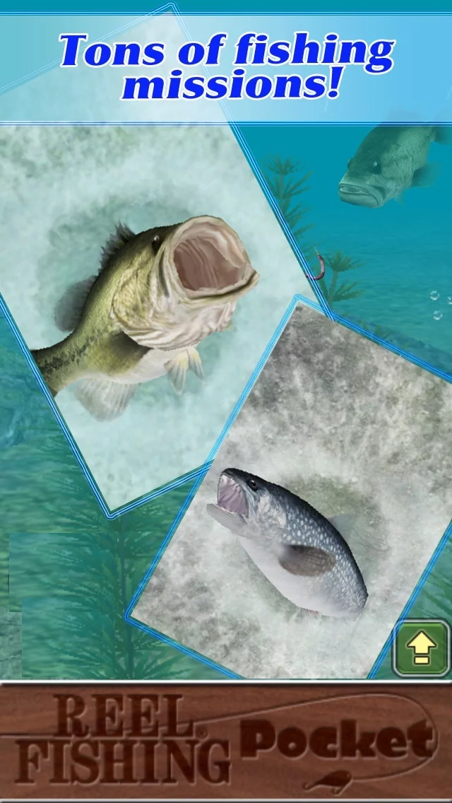 Изображение игры: Reel Fishing Pocket
