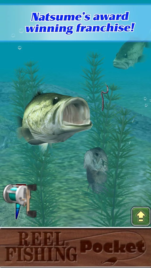 Изображение игры: Reel Fishing Pocket