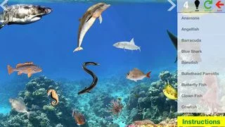Изображение игры: Animal Discovery