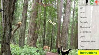Изображение игры: Animal Discovery