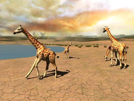 Изображение игры: Africa Wild Free