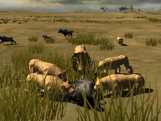 Изображение игры: Africa Wild Free