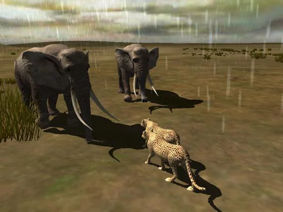 Изображение игры: Africa Wild Free