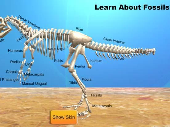 Изображение игры: Dinosaur Sim