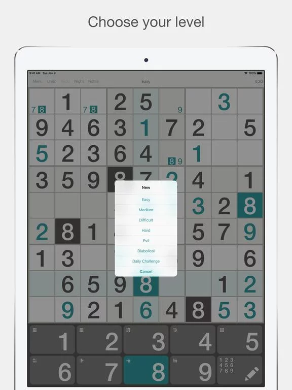 Изображение игры: Sudoku ″