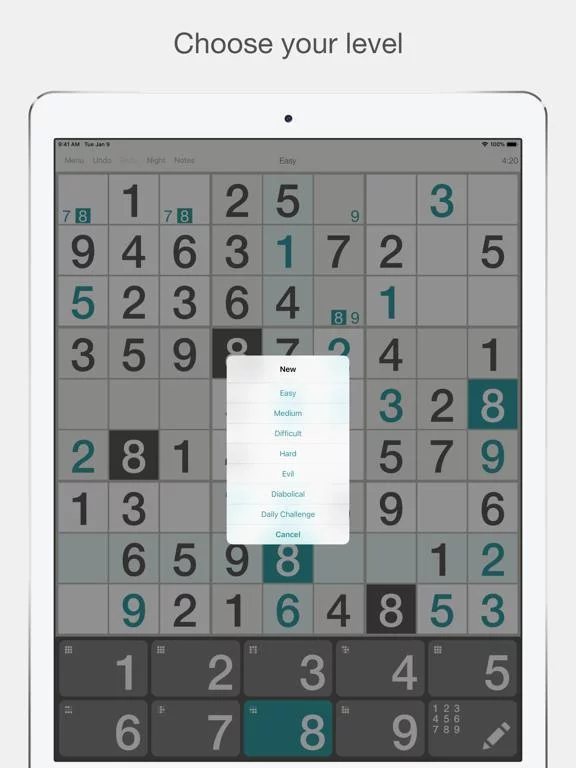 Изображение игры: Sudoku ′