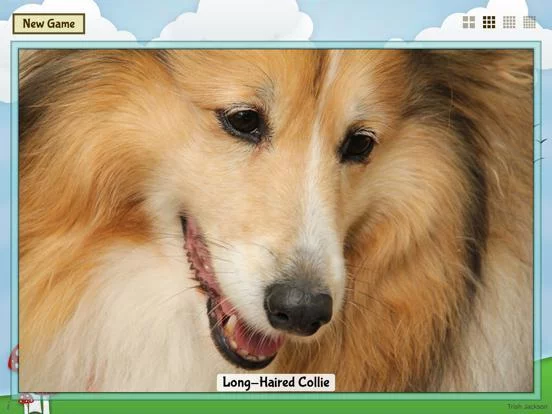 Изображение игры: Animal Slide Image Puzzle