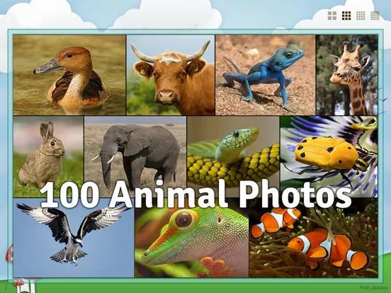 Изображение игры: Animal Slide Image Puzzle