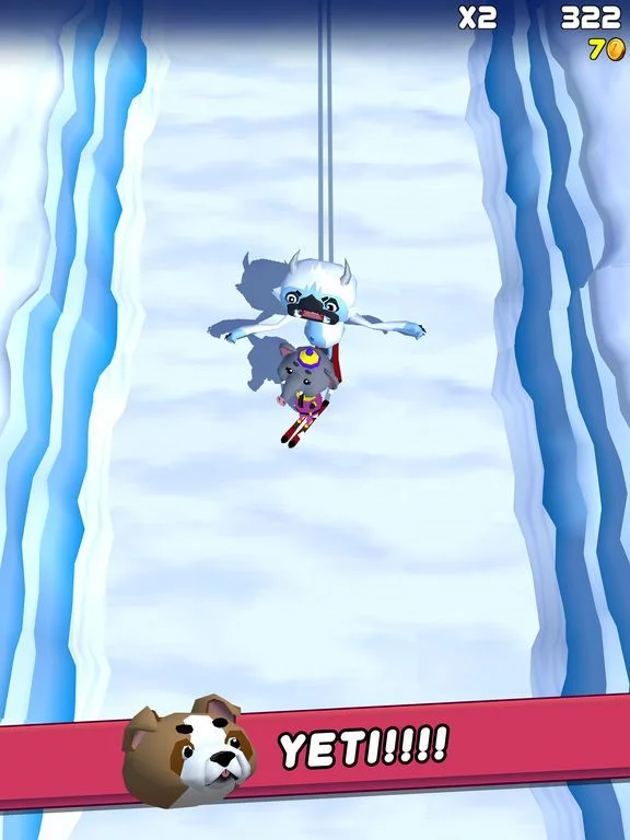 Изображение игры: Ski Zoo