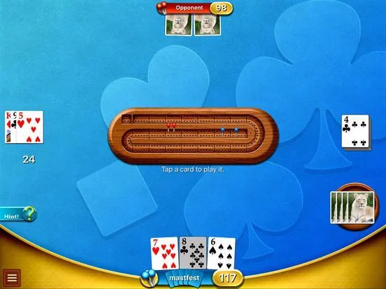 Изображение игры: Cribbage HD