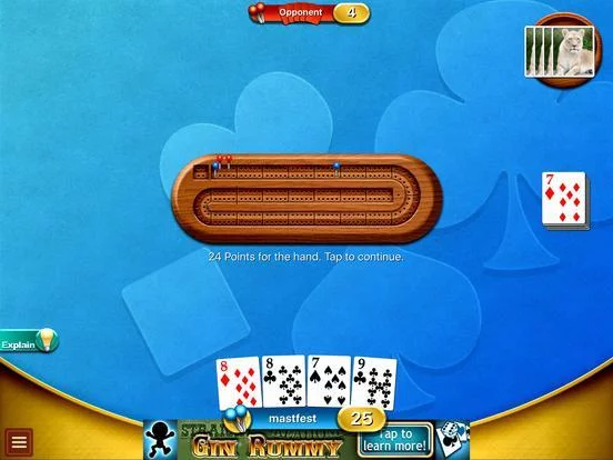 Изображение игры: Cribbage - Crib & Peg Game