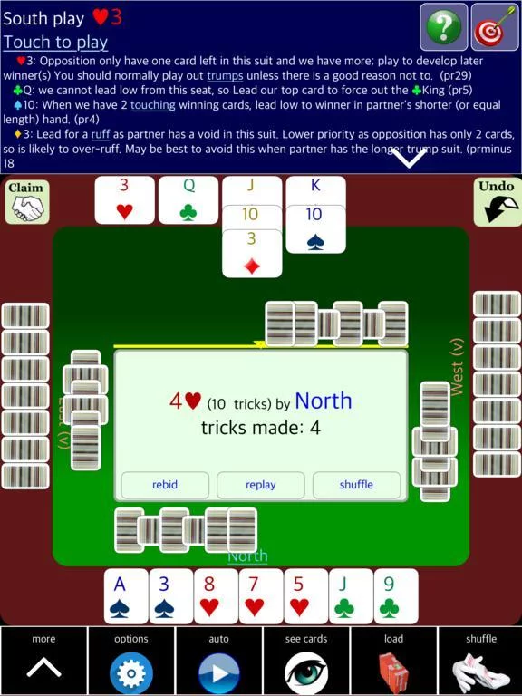Изображение игры: BJ Bridge Beginner