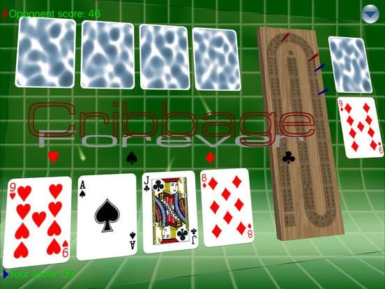 Изображение игры: Cribbage Forever