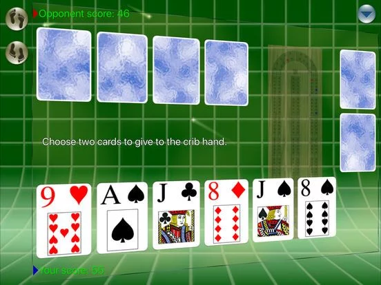 Изображение игры: Cribbage Forever