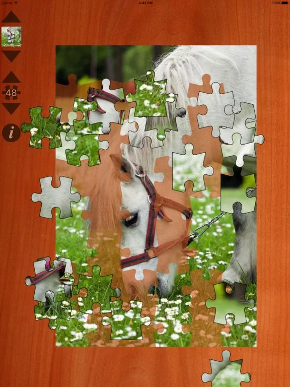 Изображение игры: Pony Puzzles