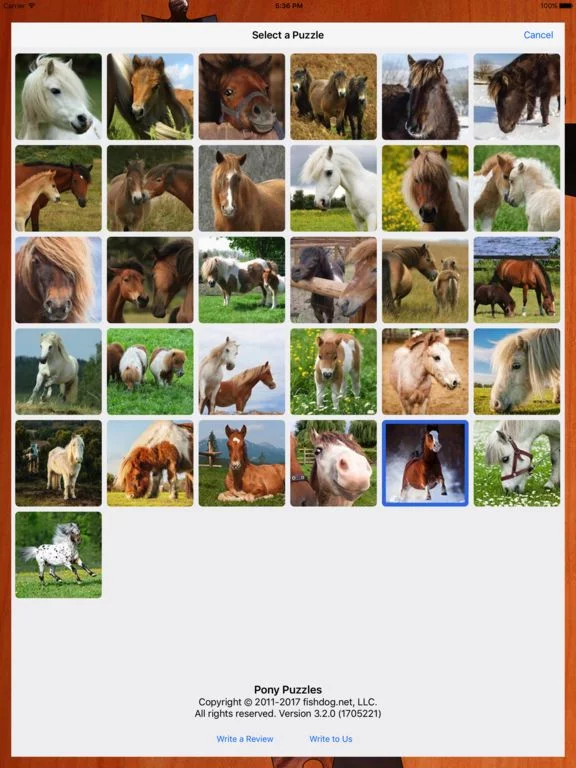 Изображение игры: Pony Puzzles