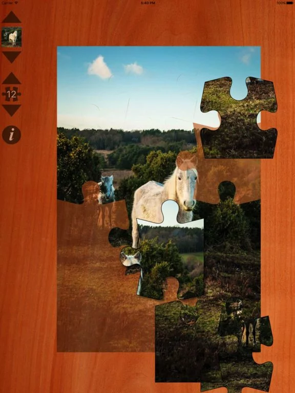 Изображение игры: Pony Puzzles