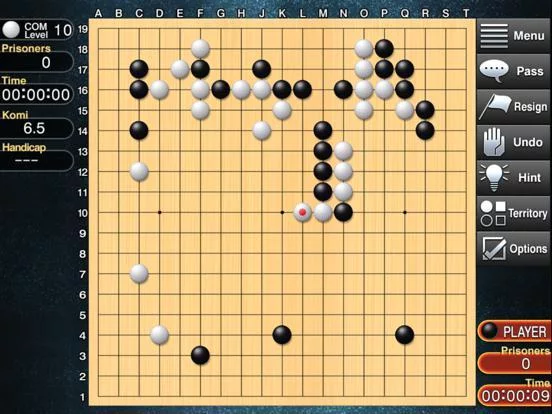 Изображение игры: Champion Go