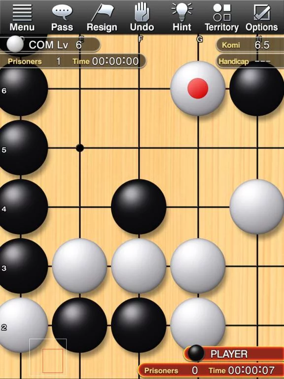 Изображение игры: Champion Go