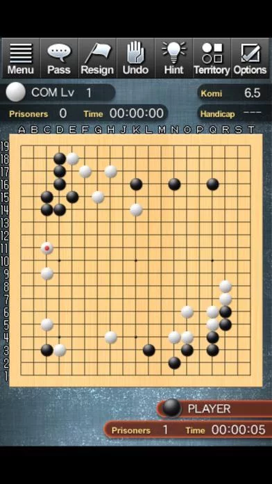 Изображение игры: Champion Go Entry Edition