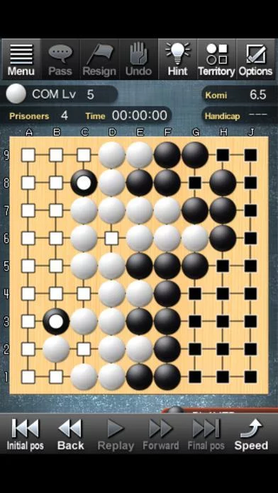 Изображение игры: Champion Go Entry Edition