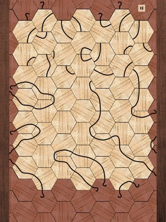 Изображение игры: Impossible Tangle Puzzle Game