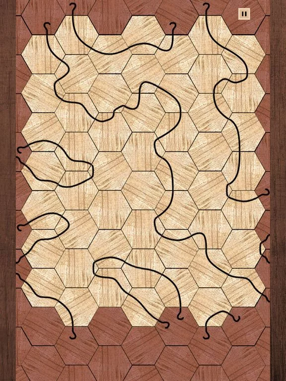 Изображение игры: Impossible Tangle Puzzle Game