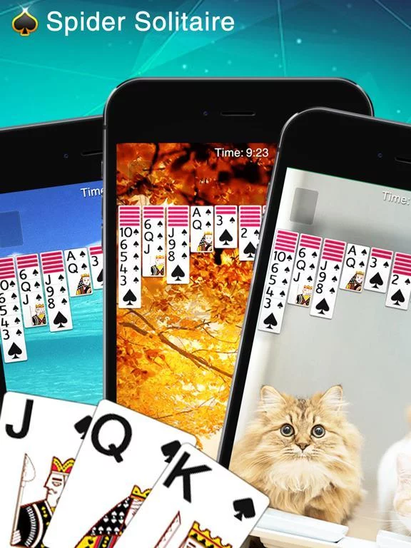 Изображение игры: ⋆Spider Solitaire⋆