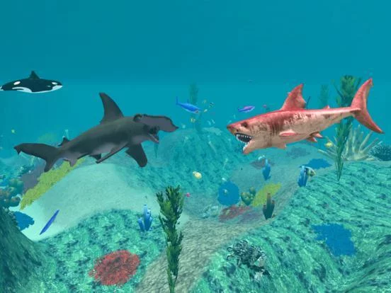 Изображение игры: Explore Fish Feeding and Grow