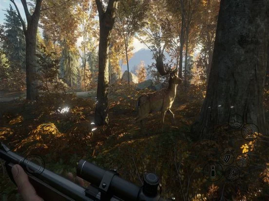 Изображение игры: HUNTER 2019