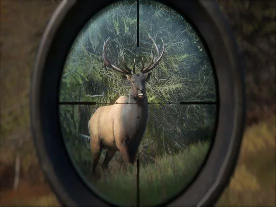 Изображение игры: HUNTER 2019
