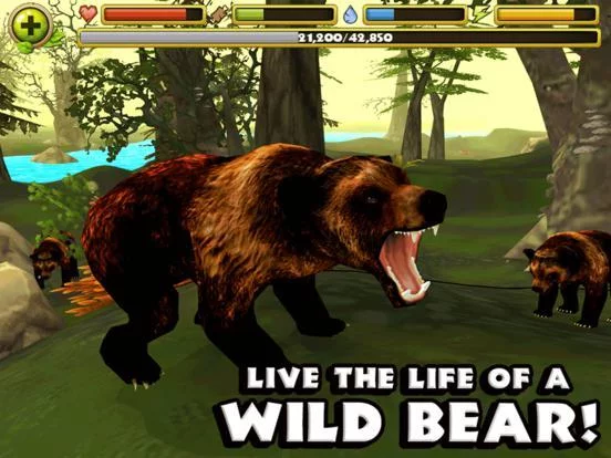 Изображение игры: Wildlife Simulator: Bear