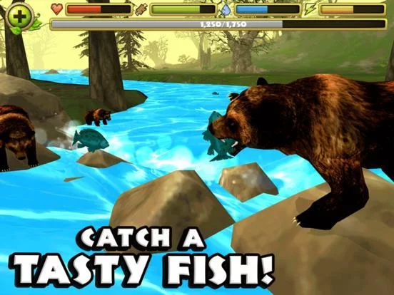 Изображение игры: Wildlife Simulator: Bear