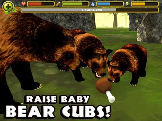 Изображение игры: Wildlife Simulator: Bear