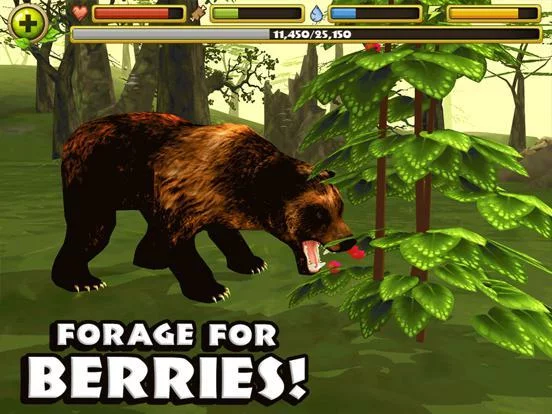 Изображение игры: Wildlife Simulator: Bear