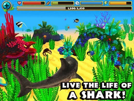 Изображение игры: Wildlife Simulator: Shark