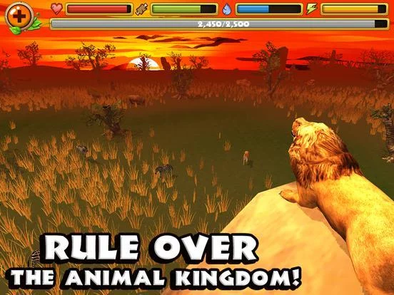 Изображение игры: Safari Simulator: Lion